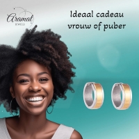 Bicolor RVS Oorringen met Goudkleurige Streep 13x7mm -
