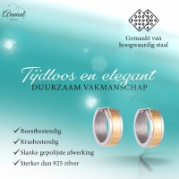 Bicolor RVS Oorringen met Goudkleurige Streep 13x7mm -