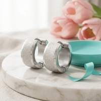 Mat Zilverkleurige RVS Oorringen met Sandblasted Streep -