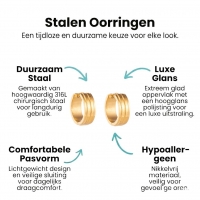 Goudkleurige Oorringen - RVS - Twee Strepen - Uniseks -