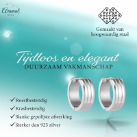 Moderne Zilverkleurige Rvs Oorbellen -