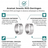 Moderne Zilverkleurige Rvs Oorbellen -