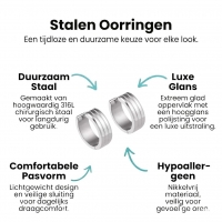 Moderne Zilverkleurige Rvs Oorbellen -