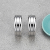 Moderne Zilverkleurige Rvs Oorbellen -