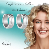 Moderne Zilverkleurige Rvs Oorbellen -