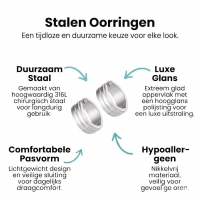 Zilverkleurige RVS Klapcreolen - 20 mm -
