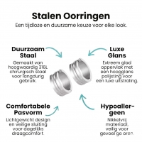 Zilverkleurige Stalen Oorbellen - Modern Design -