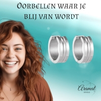 Zilverkleurige Stalen Oorbellen - Modern Design -