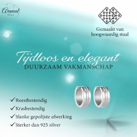 Zilverkleurige Stalen Oorbellen - Modern Design -