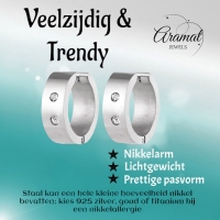 Grote Huggie Oorringen Kristal 20mm -