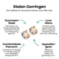 Bicolor Stalen Oorringen met Twee Halfronde Strepen -