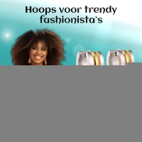 Bicolor Stalen Oorringen met Twee Halfronde Strepen -