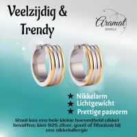 Oorringen &acirc;&euro;&ldquo; Staal Bicolor Drie Strepen (20mm) -