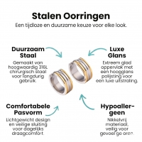 Oorringen &acirc;&euro;&ldquo; Staal Bicolor Drie Strepen (20mm) -