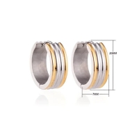 Oorringen &acirc;&euro;&ldquo; Staal Bicolor Drie Strepen (20mm) -