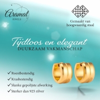 Oorringen &acirc;&euro;&ldquo; Staal Enkele Streep Goudkleurig (13mm) -