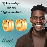 Oorringen &acirc;&euro;&ldquo; Staal Enkele Streep Goudkleurig (13mm) -