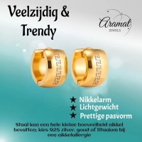 Oorringen &acirc;&euro;&ldquo; Staal Grieks Motief Goudkleurig (13mm) -