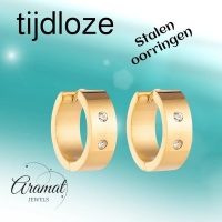 Creolen &acirc;&euro;&ldquo; RVS Goudkleur met Dubbele Zirkonia (13mm of 20mm) - 13mm -