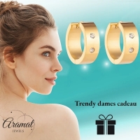 Creolen &acirc;&euro;&ldquo; RVS Goudkleur met Dubbele Zirkonia (13mm of 20mm) - 13mm -