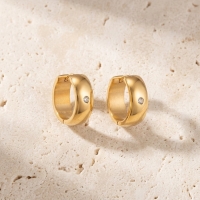 Huggies &acirc;&euro;&ldquo; RVS Goudkleur met Zirkonia - 13mm -