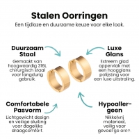 Oorringen &acirc;&euro;&ldquo; Staal Glad Goudkleurig (20mm) -
