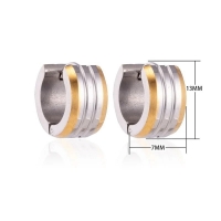 mini Oorringen &acirc;&euro;&ldquo; Staal Bicolor Strepen Mat (13mm) -
