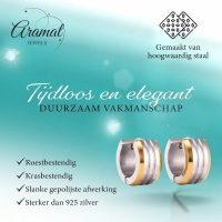 mini Oorringen &acirc;&euro;&ldquo; Staal Bicolor Strepen Mat (13mm) -