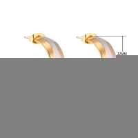 Oorstekers &acirc;&euro;&ldquo; Staal Hoepel Bicolor Mat (22mm) -