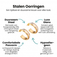 Oorstekers &acirc;&euro;&ldquo; Staal Hoepel Bicolor Mat (22mm) -