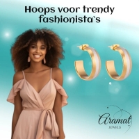 Oorstekers &acirc;&euro;&ldquo; Staal Hoepel Bicolor Mat (22mm) -