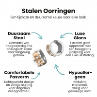 Oorringen &acirc;&euro;&ldquo; Staal Huggies Zirkonia Bicolor (13mm) -