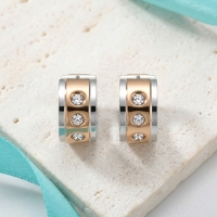 Oorringen &acirc;&euro;&ldquo; Staal Huggies Zirkonia Bicolor (13mm) -