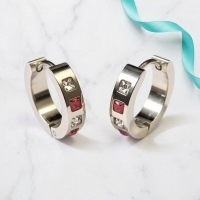 Oorringen &acirc;&euro;&ldquo; Staal Roze Transparante Zirkonia (17mm) -