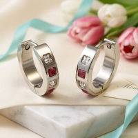 Oorringen &acirc;&euro;&ldquo; Staal Roze Transparante Zirkonia (17mm) -
