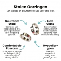Oorringen &acirc;&euro;&ldquo; Staal Roze Transparante Zirkonia (17mm) -