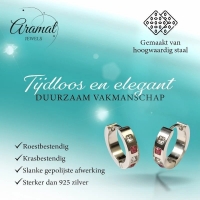 Oorringen &acirc;&euro;&ldquo; Staal Roze Transparante Zirkonia (17mm) -