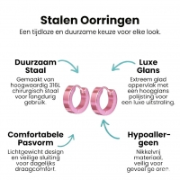 Oorringen &acirc;&euro;&ldquo; RVS Roze Glans (14mm) -