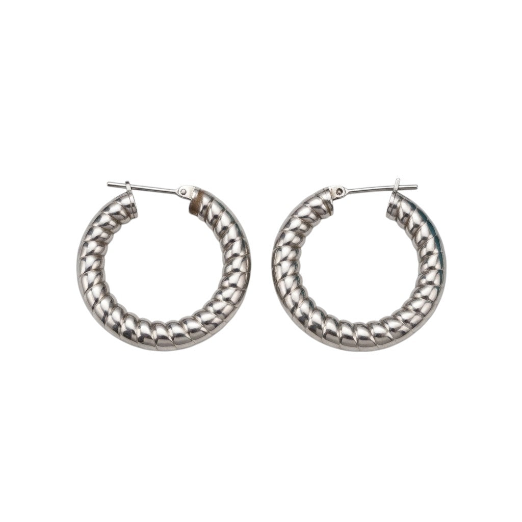 Oorringen &acirc;&euro;&ldquo; Staal Hol Streep Motief Zilverkleurig (30mm) -