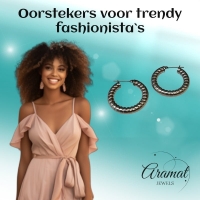 Oorringen &acirc;&euro;&ldquo; Staal Hol Streep Motief Zilverkleurig (30mm) -
