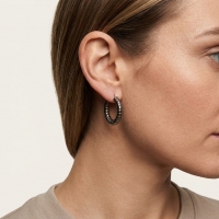 Oorringen &acirc;&euro;&ldquo; Staal Hol Streep Motief Zilverkleurig (30mm) -