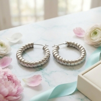 Oorringen &acirc;&euro;&ldquo; Staal Hol Streep Motief Zilverkleurig (30mm) -