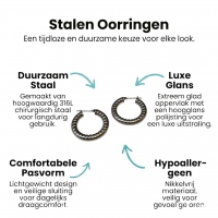 Oorringen &acirc;&euro;&ldquo; Staal Hol Streep Motief Zilverkleurig (30mm) -