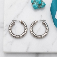 Oorringen &acirc;&euro;&ldquo; Staal Hol Streep Motief Zilverkleurig (30mm) -