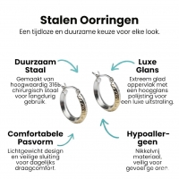 Oorringen &acirc;&euro;&ldquo; RVS Mat Zilverkleur Fantasie (20mm) -
