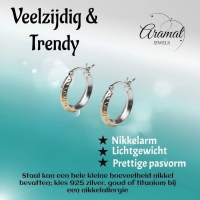 Oorringen &acirc;&euro;&ldquo; RVS Mat Zilverkleur Fantasie (20mm) -