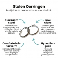 Oorringen &acirc;&euro;&ldquo; RVS Zilverkleur Glad Glans (20mm) -