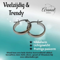 Oorringen &acirc;&euro;&ldquo; RVS Zilverkleur Glad Glans (20mm) -