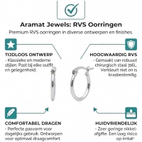 Oorringen &acirc;&euro;&ldquo; Stalen Ovale Hoepeloorbellen RVS Zilverkleur - 16mm -