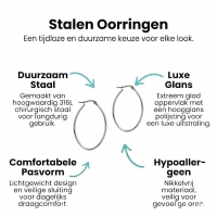 Oorringen &acirc;&euro;&ldquo; Stalen Ovale Hoepeloorbellen RVS Zilverkleur - 16mm -